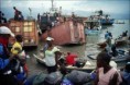 /album/desastre-no-haiti/haiti-1-jpg/
